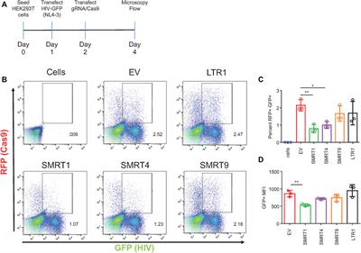 Assessment of anti-HIV-1 guide RNA efficacy in cells containing the viral target sequence, corresponding gRNA, and CRISPR/Cas9